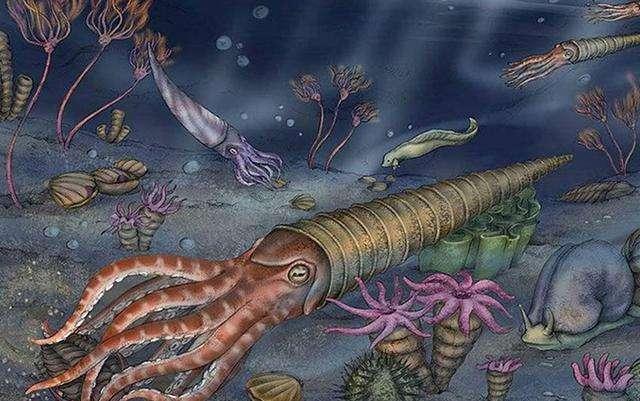泥盆紀化石寶庫重現貴州，83種遠古海洋生物揭示生命演化與醫藥研發新曙光